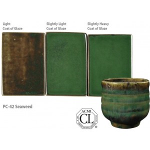 PC-42 SEAWEED 472ml