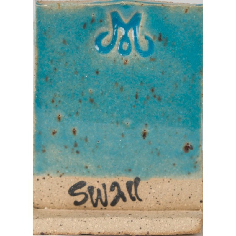 SW211 GLACIER BLUE 473ml