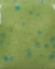 SP-227 SOUR APPLE