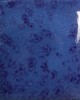 SP-231 THE BLUES