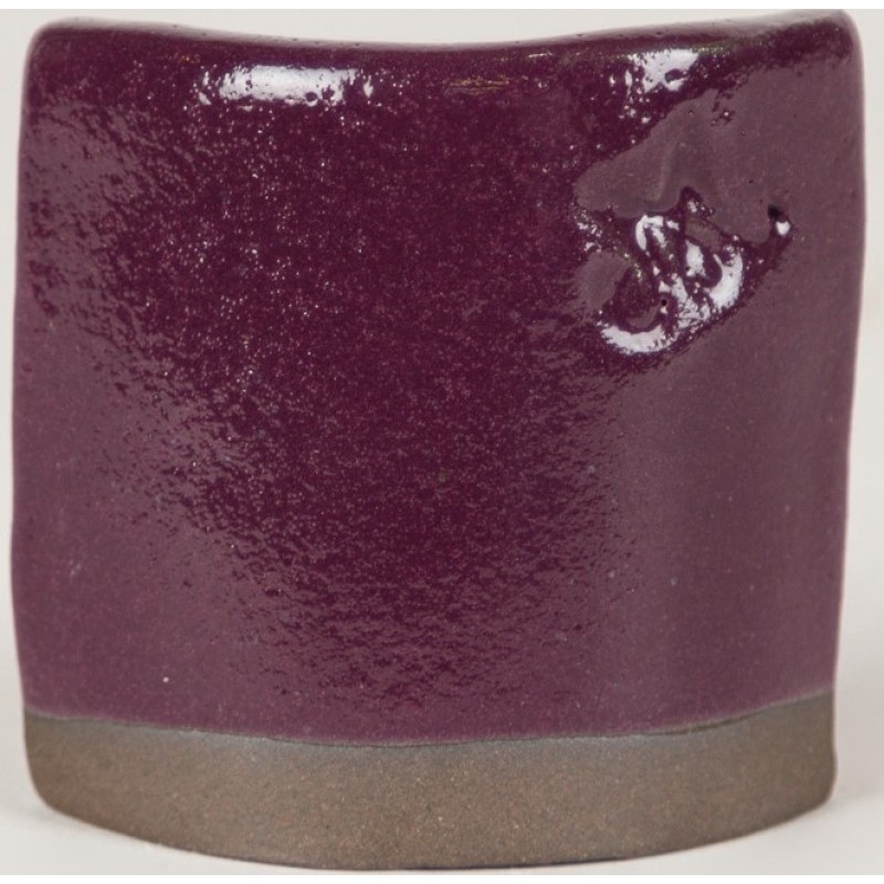 SW134 EGGPLANT 473ml