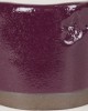 SW134 EGGPLANT 473ml