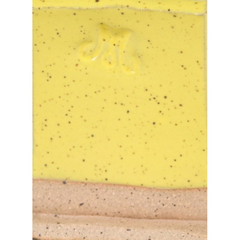 SW502 YELLOW GLOSS 473ml