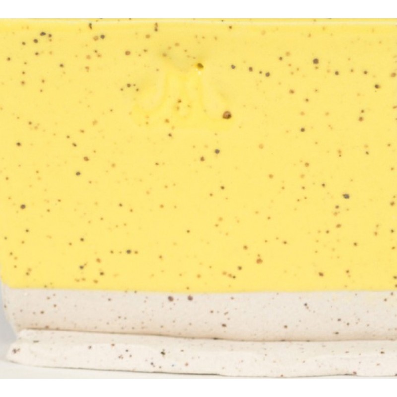 SW502 YELLOW GLOSS 473ml