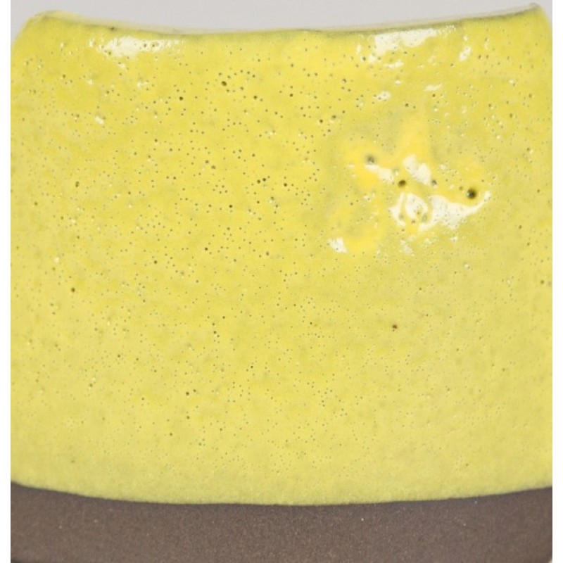SW502 YELLOW GLOSS 473ml