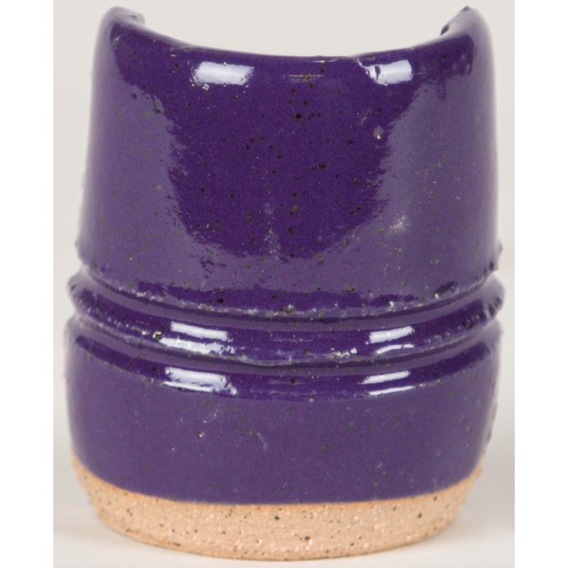 SW505 PURPLE GLOSS 473ml