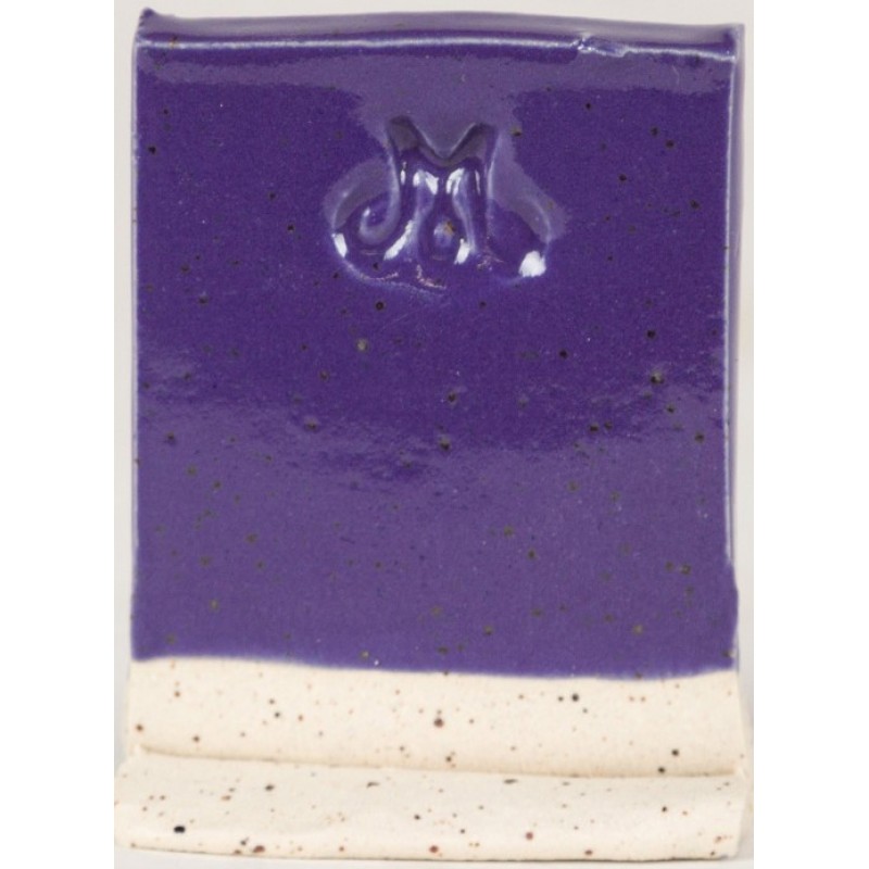 SW505 PURPLE GLOSS 473ml