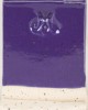 SW505 PURPLE GLOSS 473ml