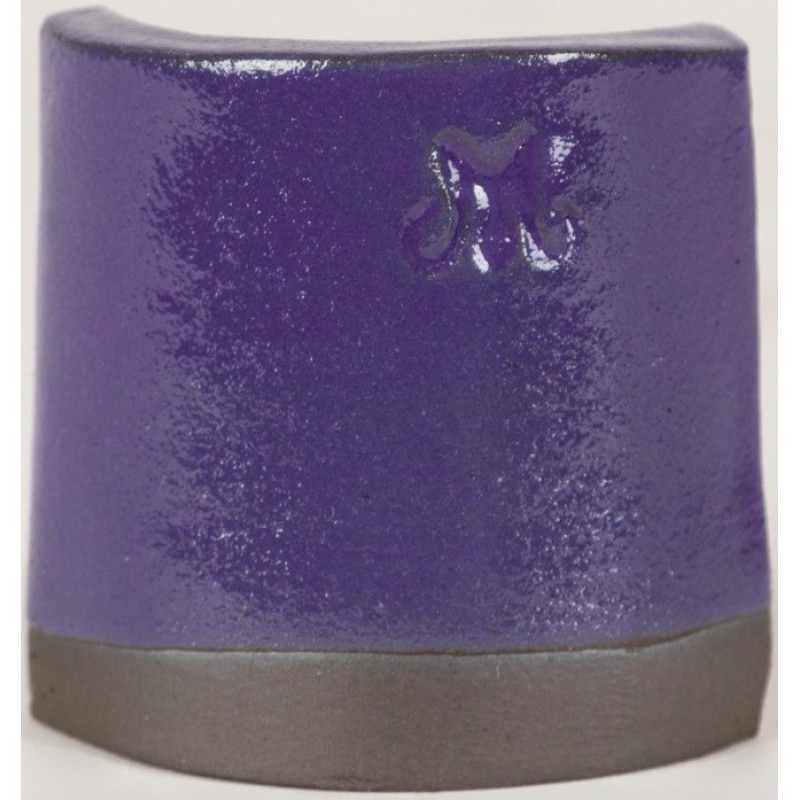 SW505 PURPLE GLOSS 473ml