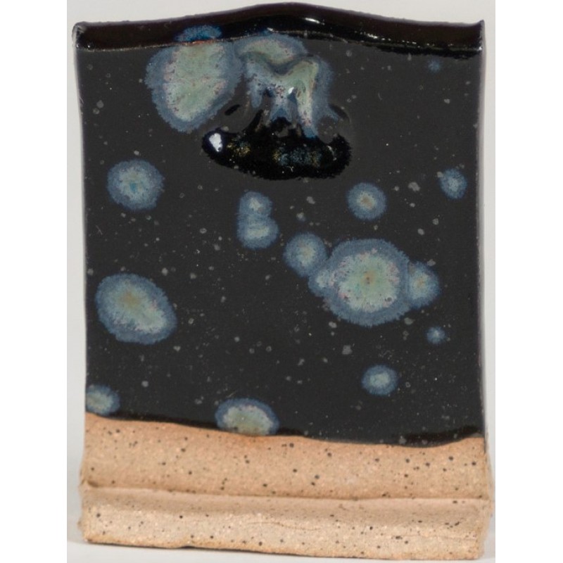 SW181 NIGHT MOTH 473ml