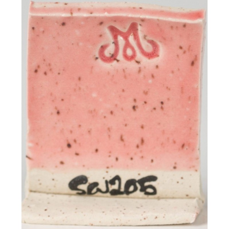 SW205 CORAL 473ml
