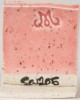 SW205 CORAL 473ml