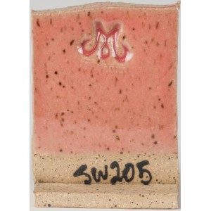 SW205 CORAL 473ml