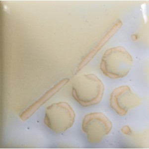 EL-101 OYSTER SHELL 118ml