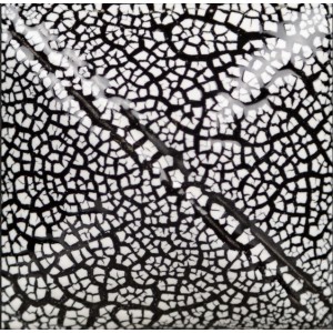 Mayco SG202 Λευκό Γυάλωμα Εφέ Cobblestone 118ml