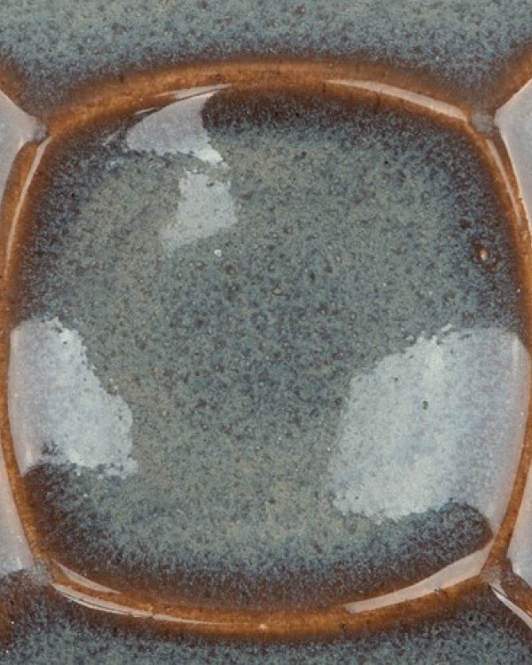 FGS92  FOSSIL 500ml
