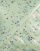 SW221 MINT SPECK 118ml