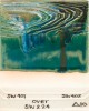 SW224 TROPICAL TEAL 118ml