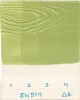 SW514 SAGE GLOSS 118ml