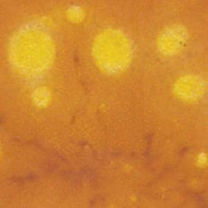 CTL-39 YELLOW UNIVERSE 472ml