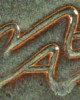 PC-33 IRON LUSTRE 472ml