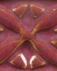 PC-55 CHUN PLUM