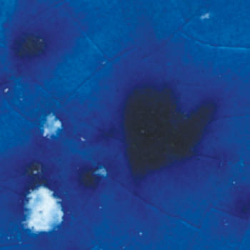CTL-26 SEA MIST 472ml