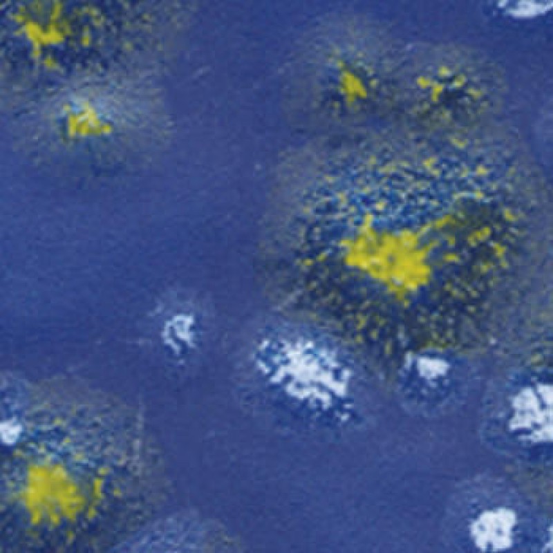 CTL-23 MOODY BLUE 472ml