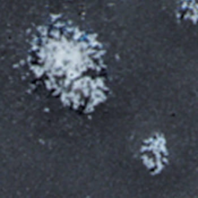 CTL-3 LAVA 472ml