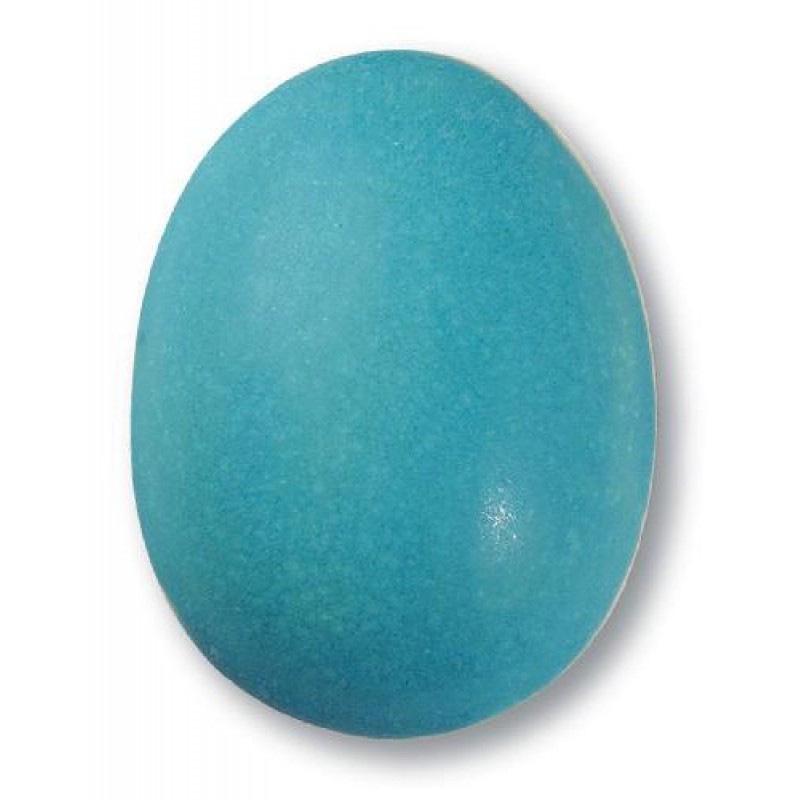7871 BLAUTURKIS