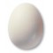 7802 TRANSPARENT MATT