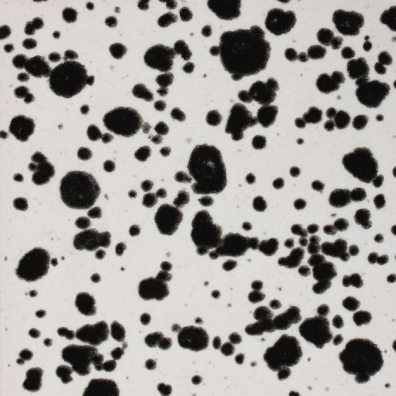 CG977 INK SPOTS