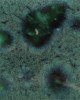 CG713 PEACOCK GREEN