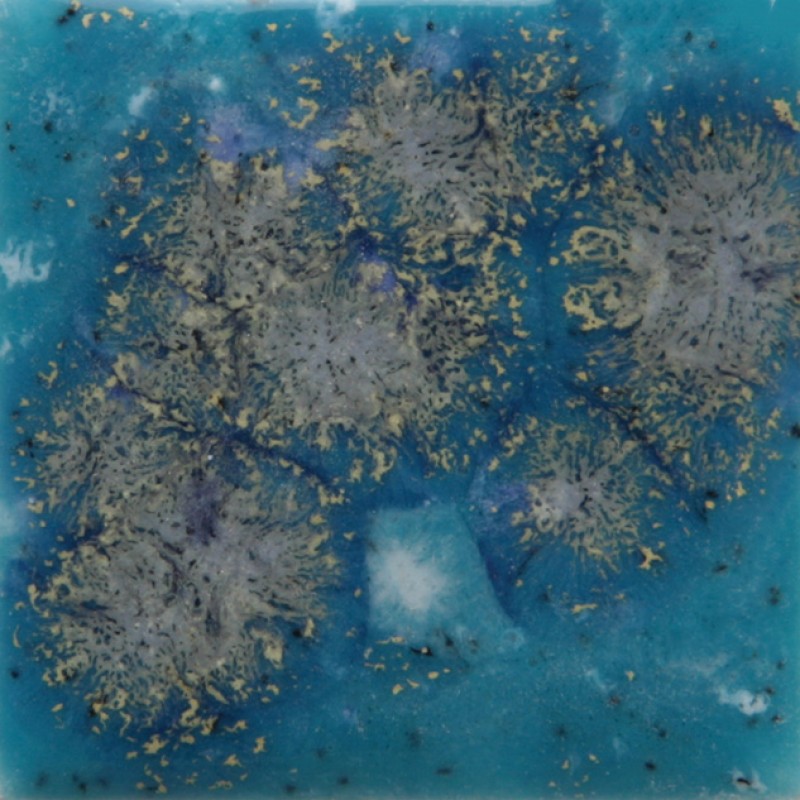 S2711 TAHITI GRAPE