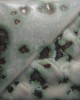 SW147 MOONSCAPE 473ml
