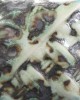 SW147 MOONSCAPE 473ml