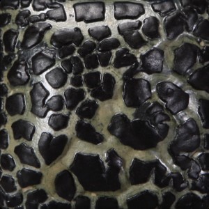 SW404 BLACK MUDCRACK 473ml
