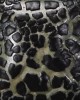 SW404 BLACK MUDCRACK 473ml