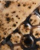 EL-212 SPOTTED WALNUT 118ml