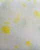CG963 LEMON LIME