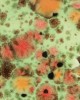 CG982 MIXED MELON
