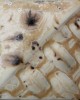 SW176 SANDSTONE 473ml