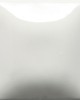 SC-16 COTTON TAIL