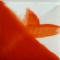 CC029G ORANGE SUNSET GLOSSY