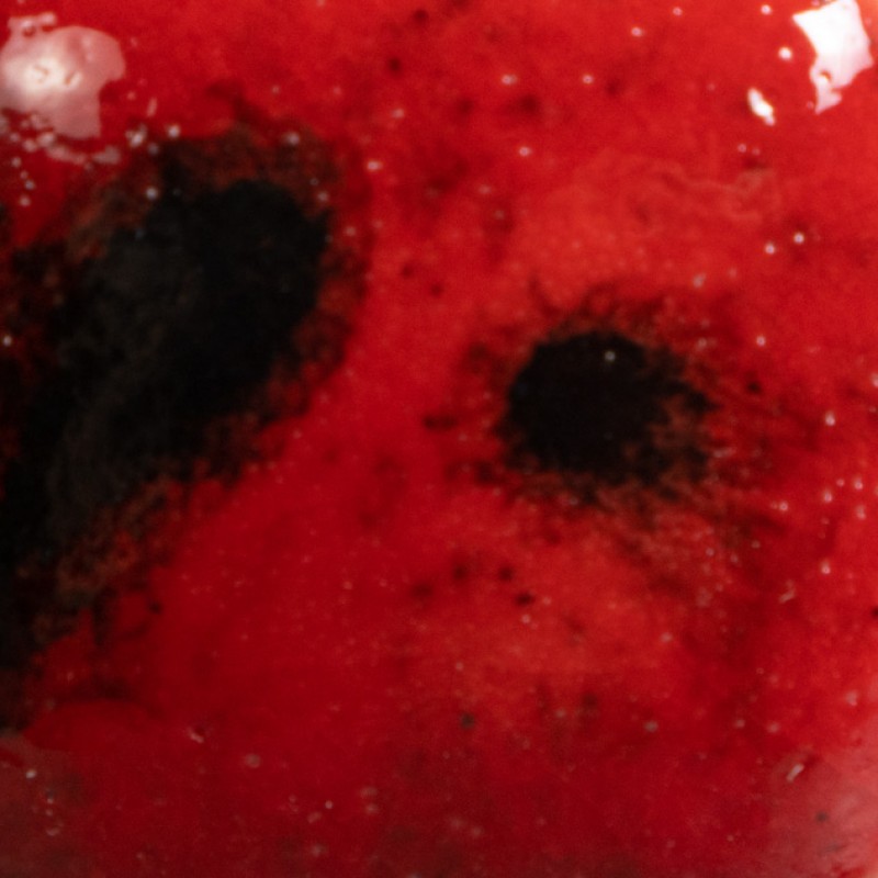 CG984 LADYBUG