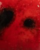 CG984 LADYBUG