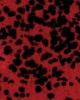 CG984 LADYBUG