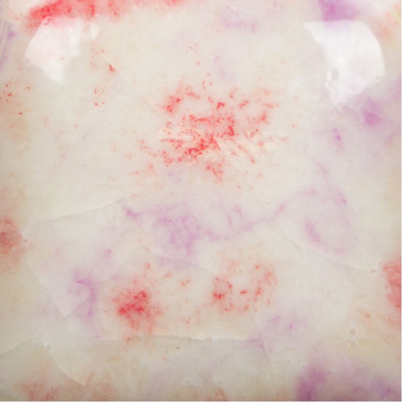 CG1004 BERRY TART