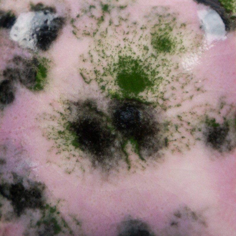 CG1005 MAROON LAGOON