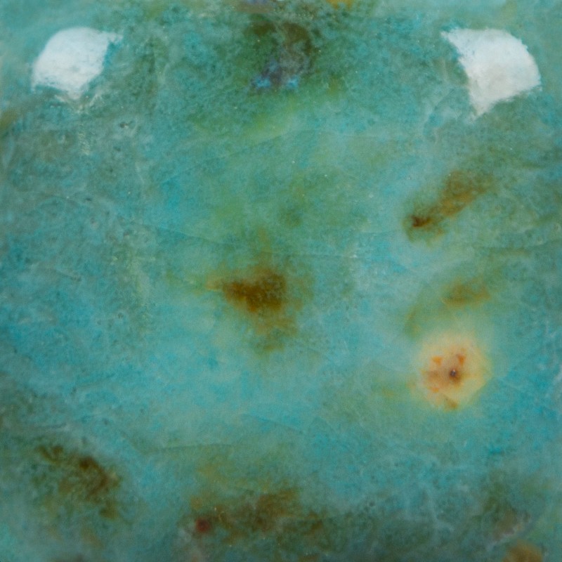 CG1008 BLUE GUPPY